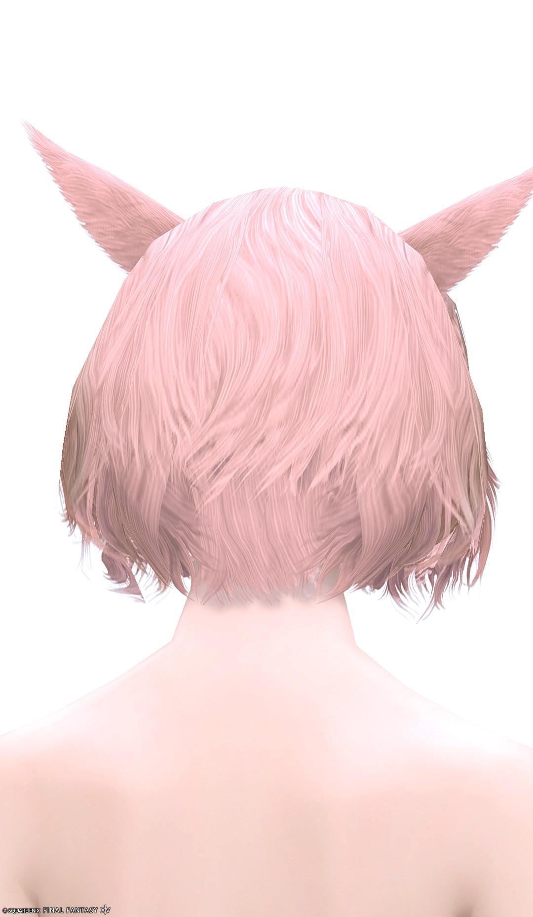 カバラリアス・コロネット | FF14ミラプリ - Caballarius Coronet - ヘッドギア・フェイスガード/ヘッドドレス・ヘアアクセサリー/冠・ティアラ