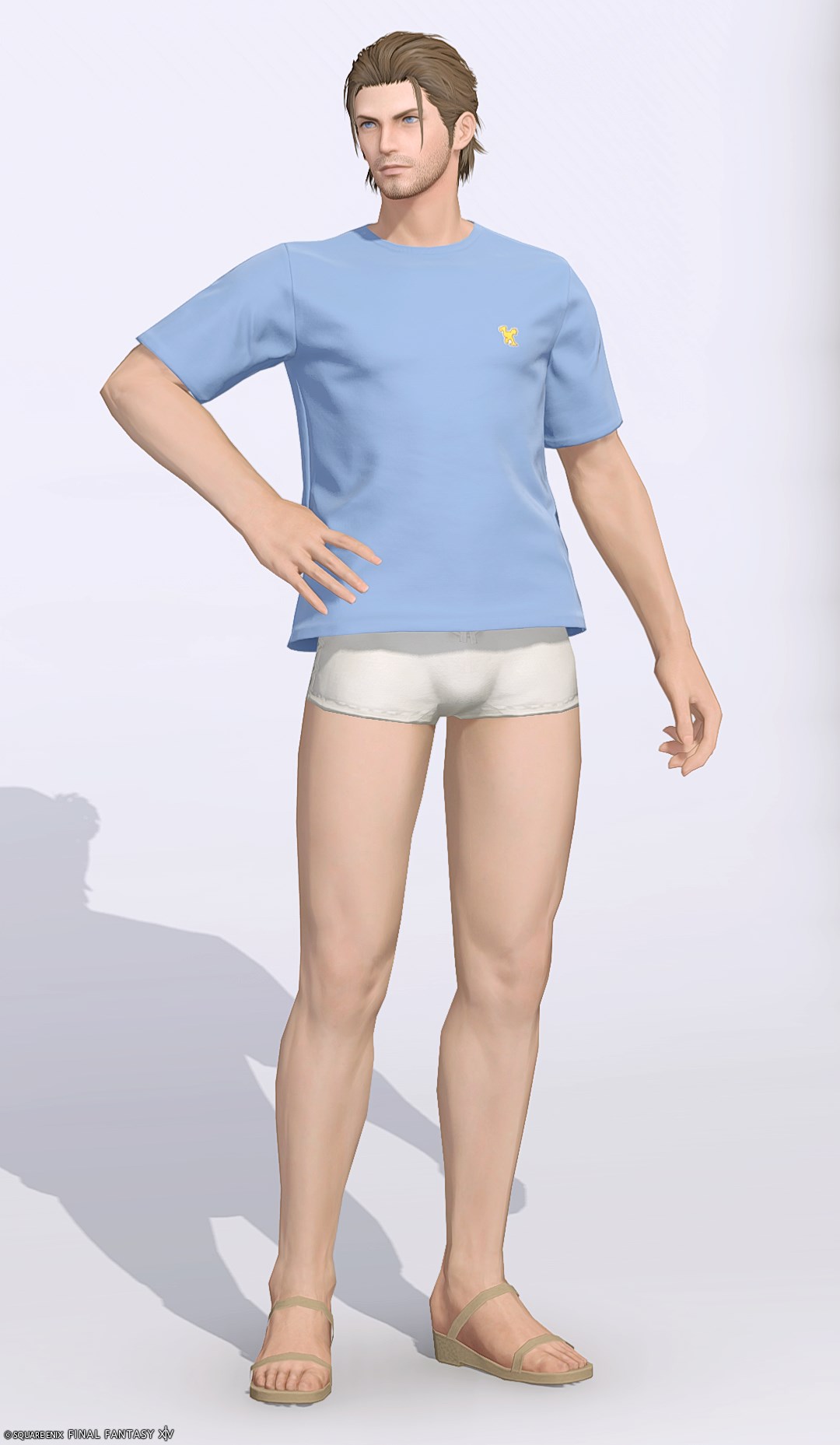 【FF14】チョコボ・デイリーチュニック装備👗各種族での見た目・入手方法【Tシャツ/ゴールドソーサー】