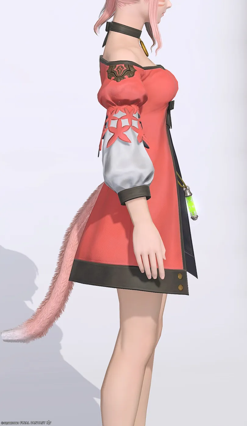 ミラプリ「エンフォーチュンテラー・トップス」装備ミコッテでの見た目紹介6