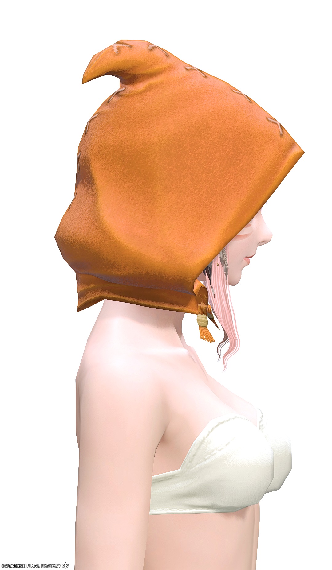 フィールドソフォス・フード | FF14ミラプリ - Fieldsoph's Hood - フード