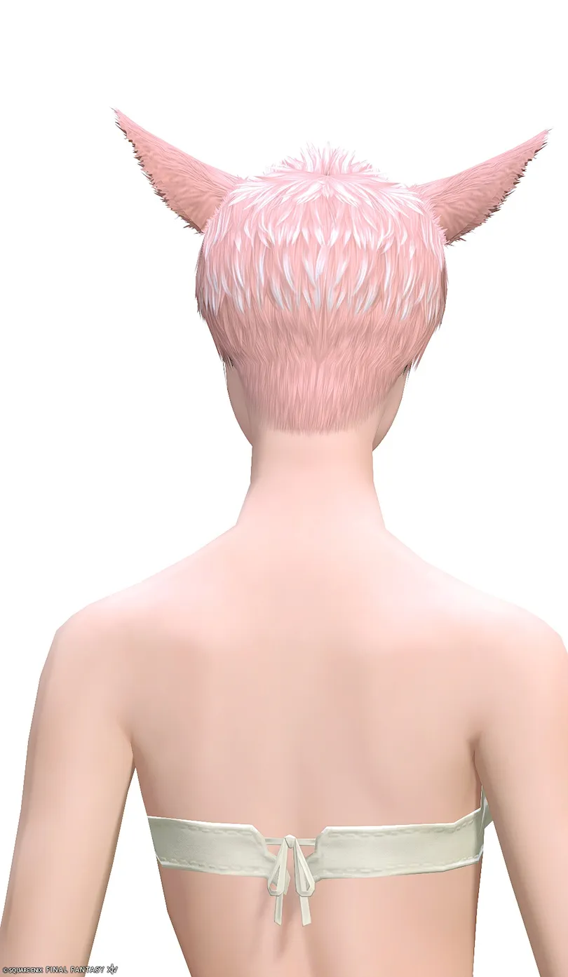 ミラプリ「フォージフィーンド・コスチュームゴーグル」装備ミコッテでの見た目紹介5