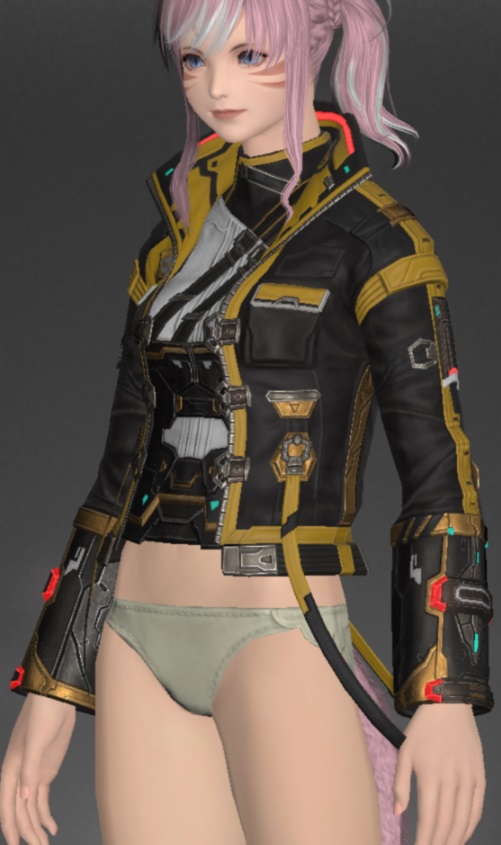 ヘビーウェイト・ディフェンダージャケット | FF14ミラプリ - Heavyweight Jacket of Fending - ジャケット