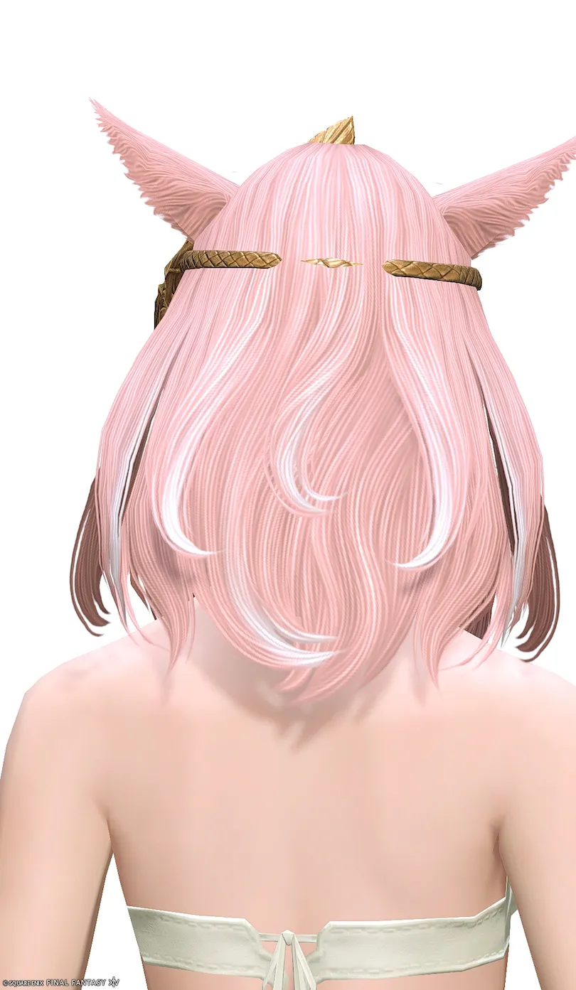 ミラプリ「ミソスヘラルド・コロネット」装備ミコッテでの見た目紹介5