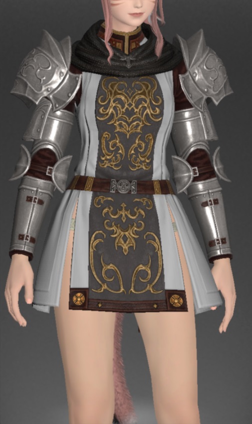 ヴァナ・ディーリアン・ディフェンダーサーコート | FF14ミラプリ - Vana'dielian Surcoat of Fending - メイル