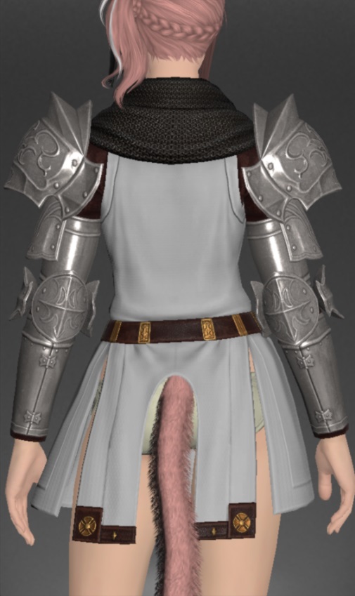 ヴァナ・ディーリアン・ディフェンダーサーコート | FF14ミラプリ - Vana'dielian Surcoat of Fending - メイル