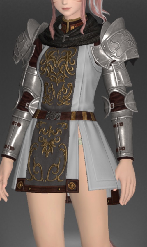 ヴァナ・ディーリアン・ディフェンダーサーコート | FF14ミラプリ - Vana'dielian Surcoat of Fending - メイル