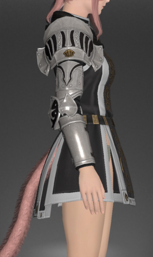 ヴァナ・ディーリアン・スレイヤーサーコート | FF14ミラプリ - Vana'dielian Surcoat of Maiming - メイル