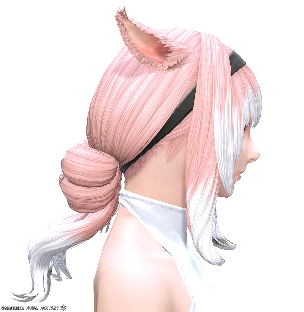 ヘアカタログ:ビブラプリンセス