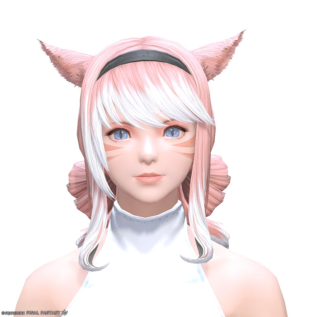 ヘアカタログ:ビブラプリンセス