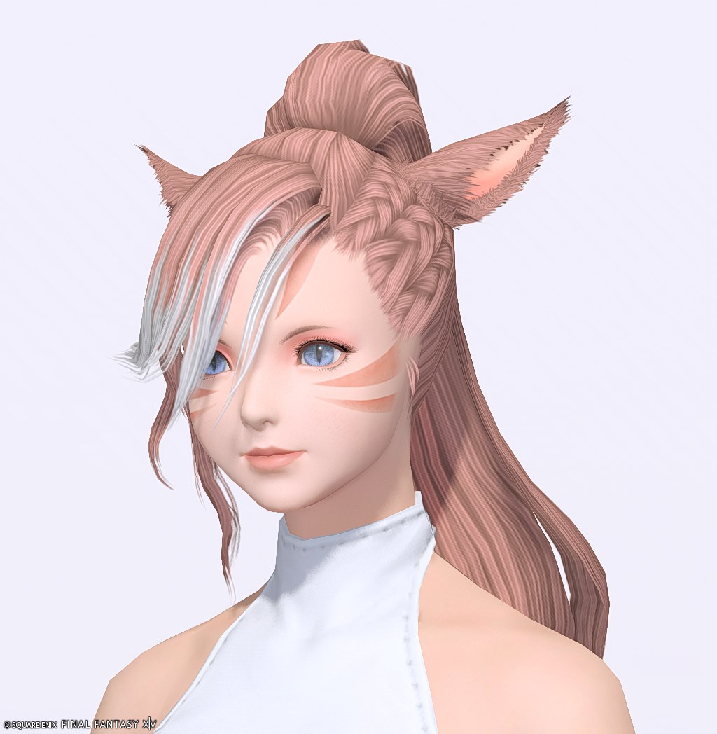 【FF14】髪型：編込ポニーテール✂見た目・入手方法【ヘアカタログ/ヒルダ】
