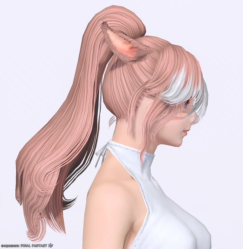 ヘアカタログ:編込ポニーテール