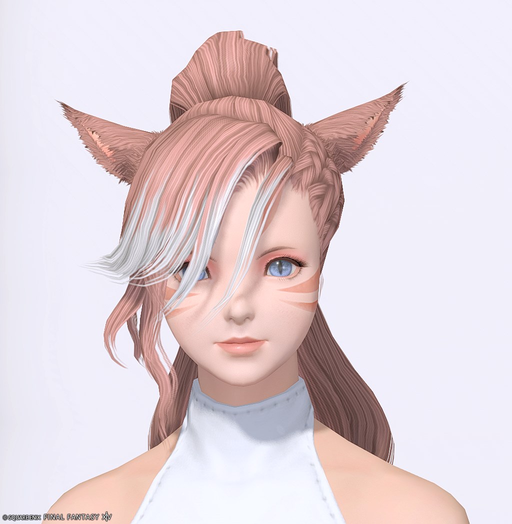 ヘアカタログ:編込ポニーテール