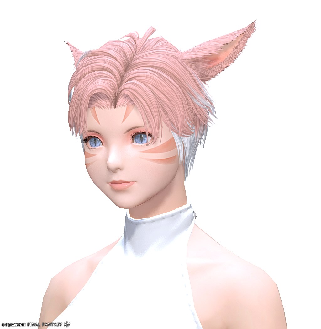 【FF14】髪型：ソフトツーブロック✂見た目・入手方法【ヘアカタログ/宝の地図G17】