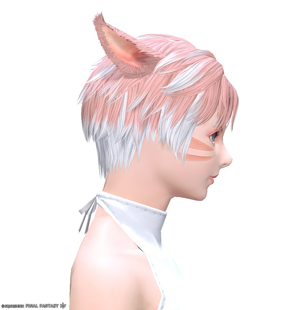 【FF14】髪型：ソフトツーブロック✂見た目・入手方法【ヘアカタログ/宝の地図G17】