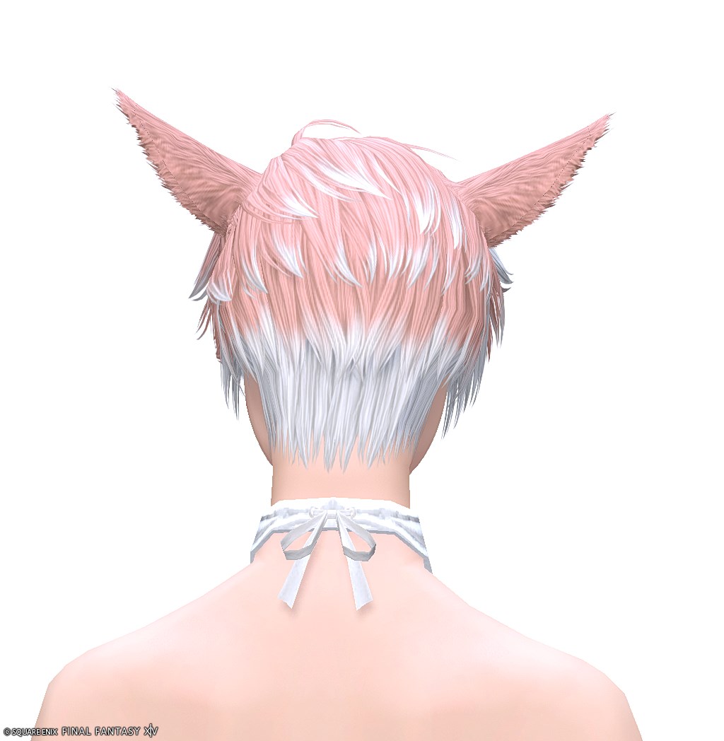 ヘアカタログ:ソフトツーブロック