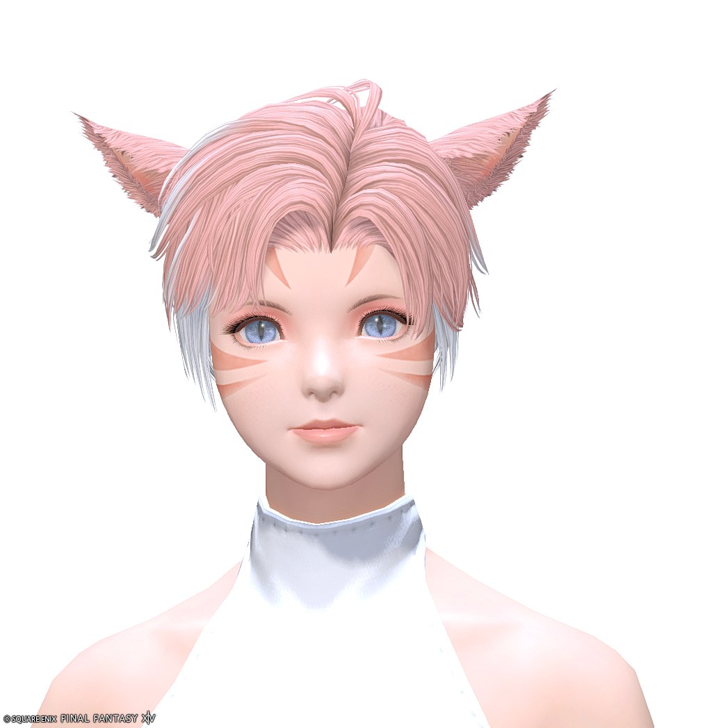 ヘアカタログ:ソフトツーブロック