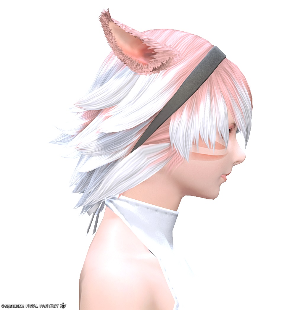 ヘアカタログ:レルムローマー