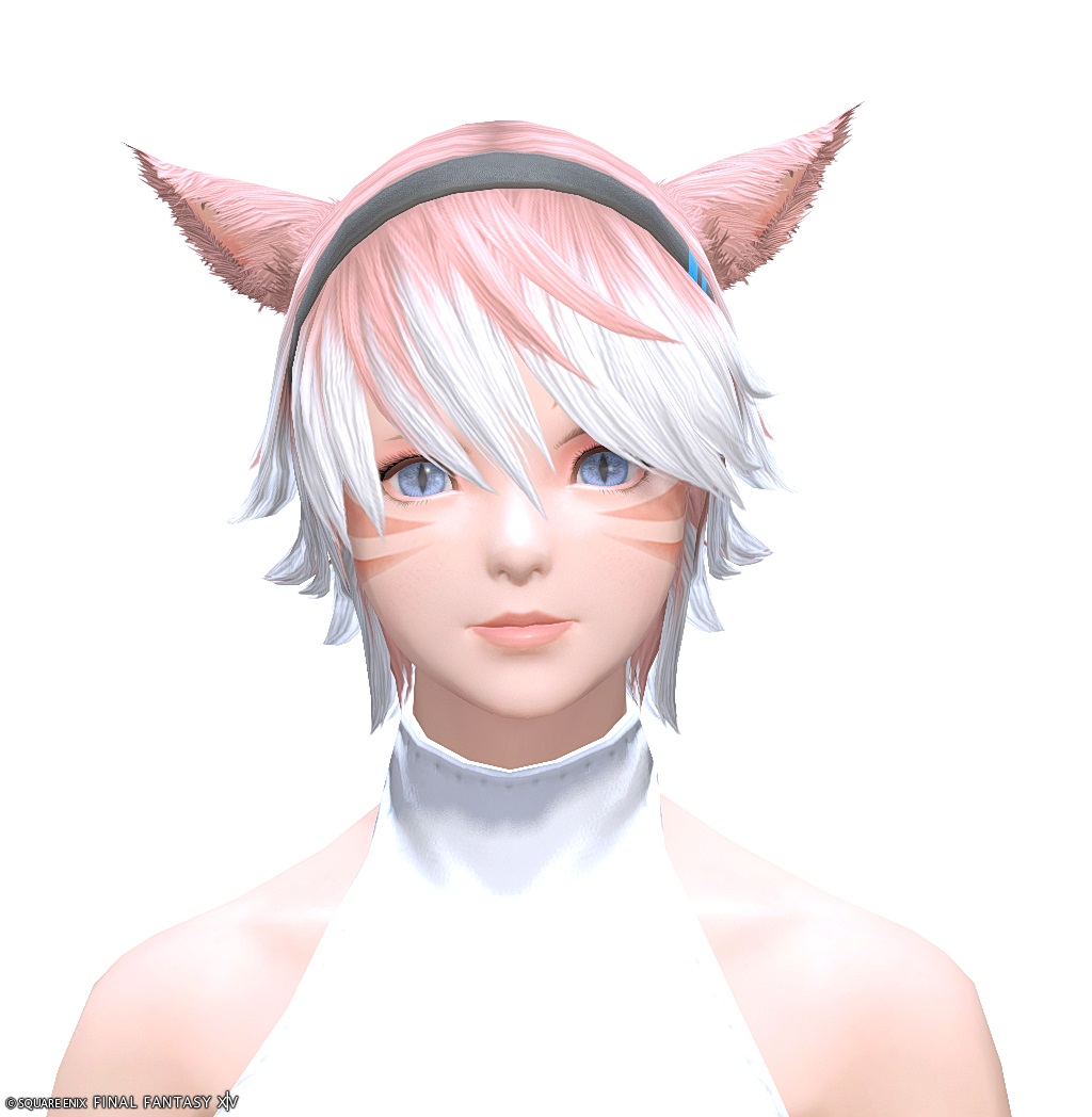 ヘアカタログ:レルムローマー