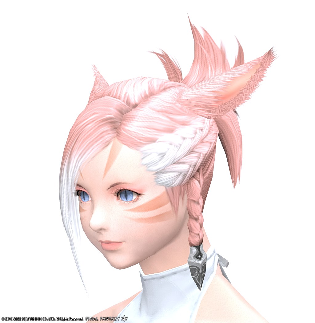 ヘアカタログ:暁の盟主
