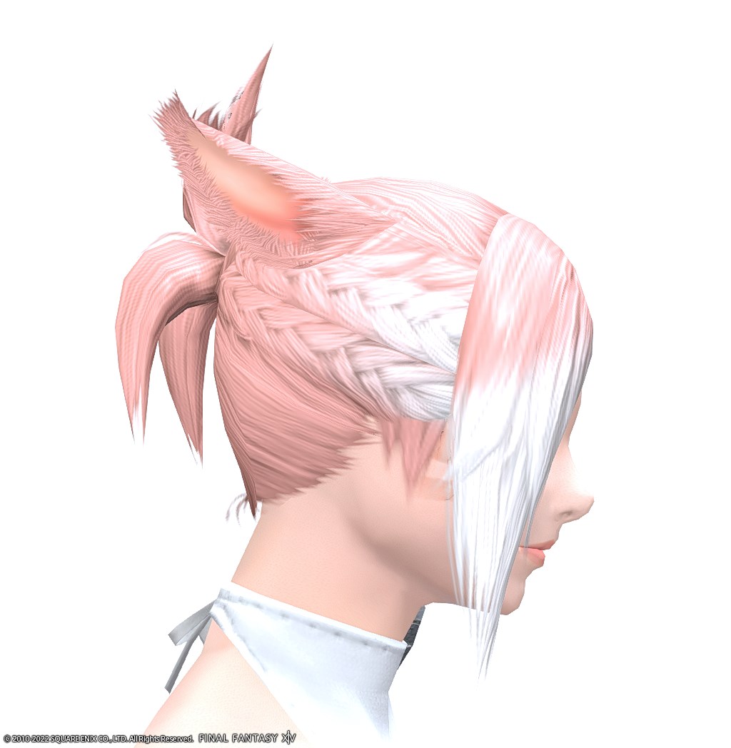 ヘアカタログ:暁の盟主