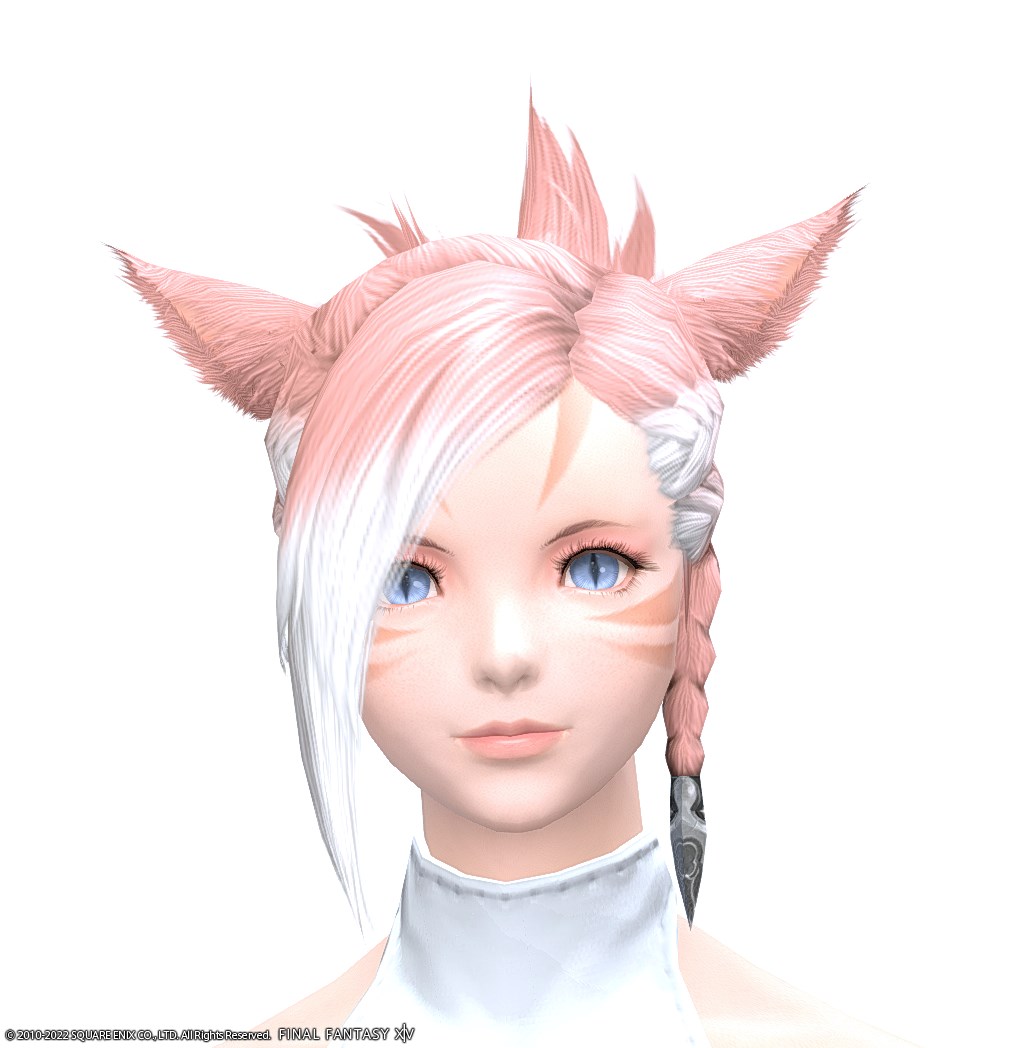 ヘアカタログ:暁の盟主