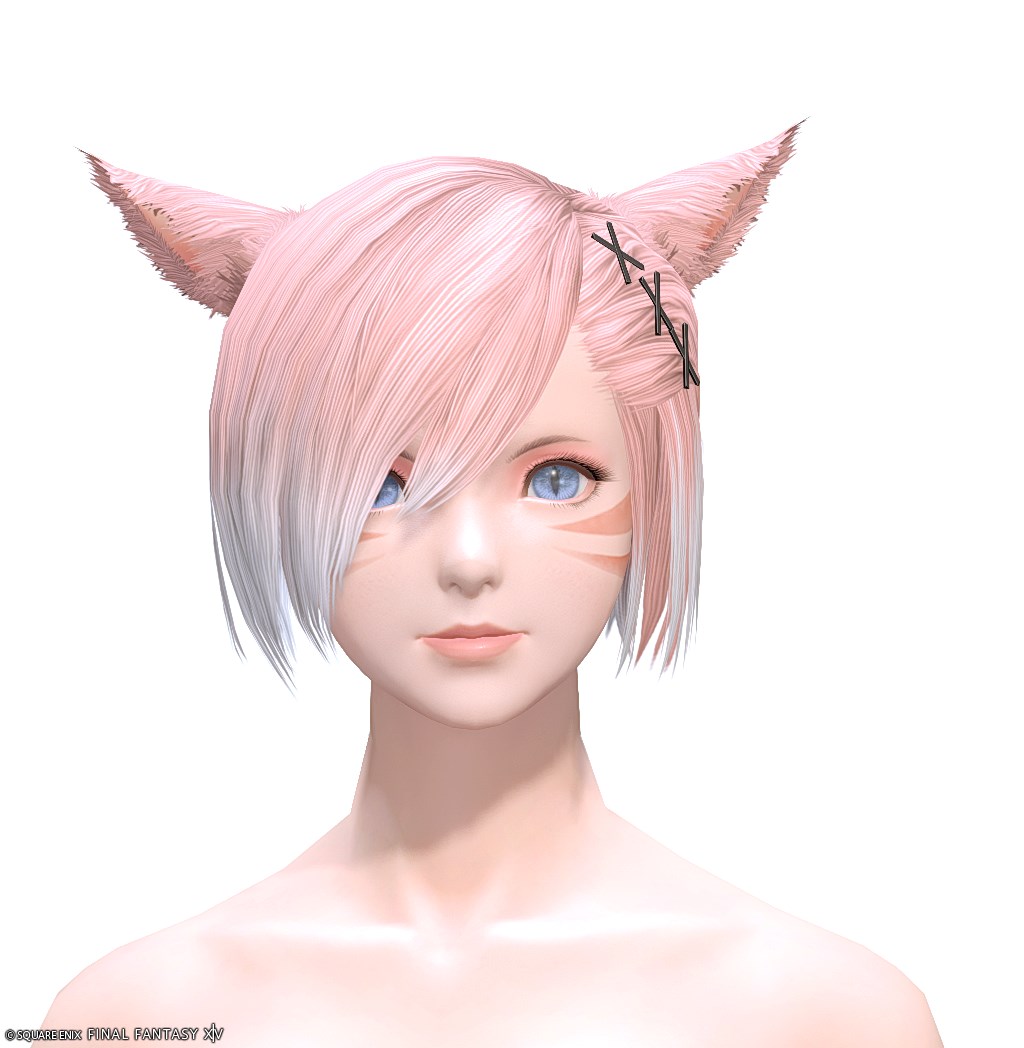 ヘアカタログ:サイオンズアーク