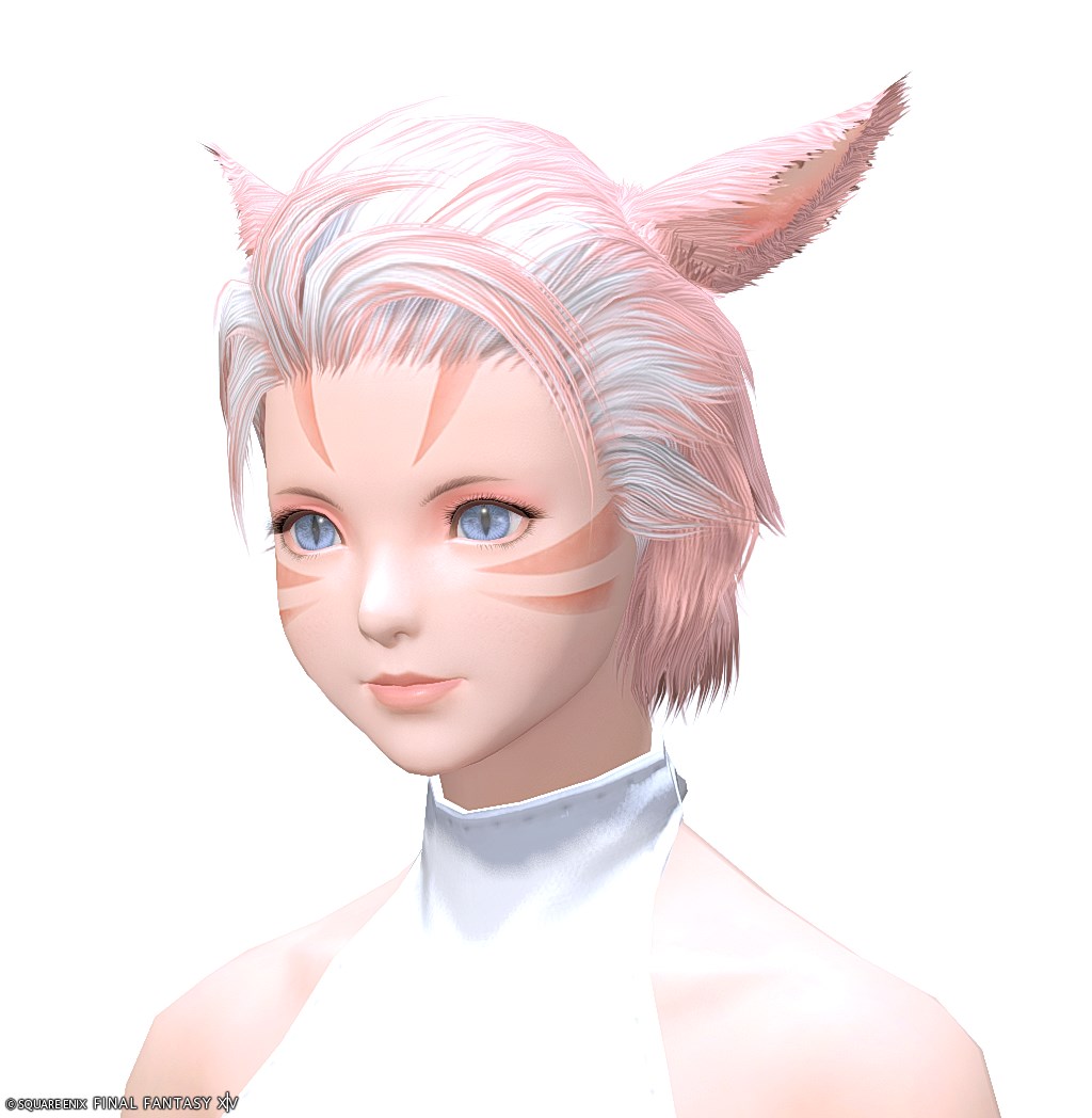 【FF14】髪型：ガイウス✂見た目・入手方法【ヘアカタログ/商客物語】