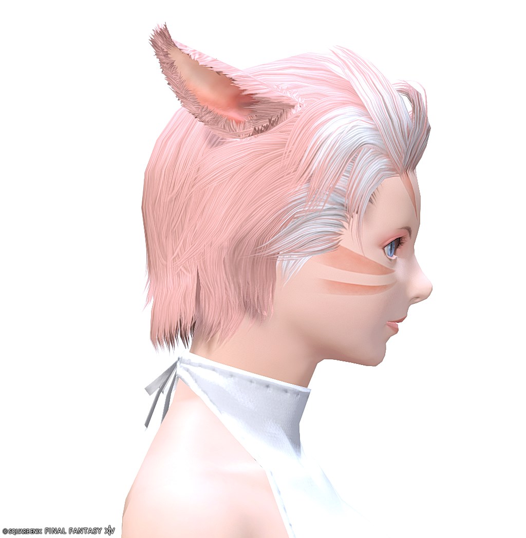ヘアカタログ:ガイウス
