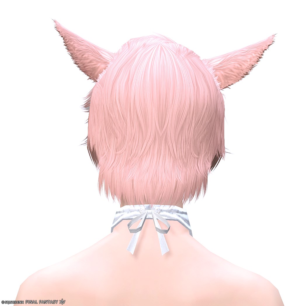 ヘアカタログ:ガイウス
