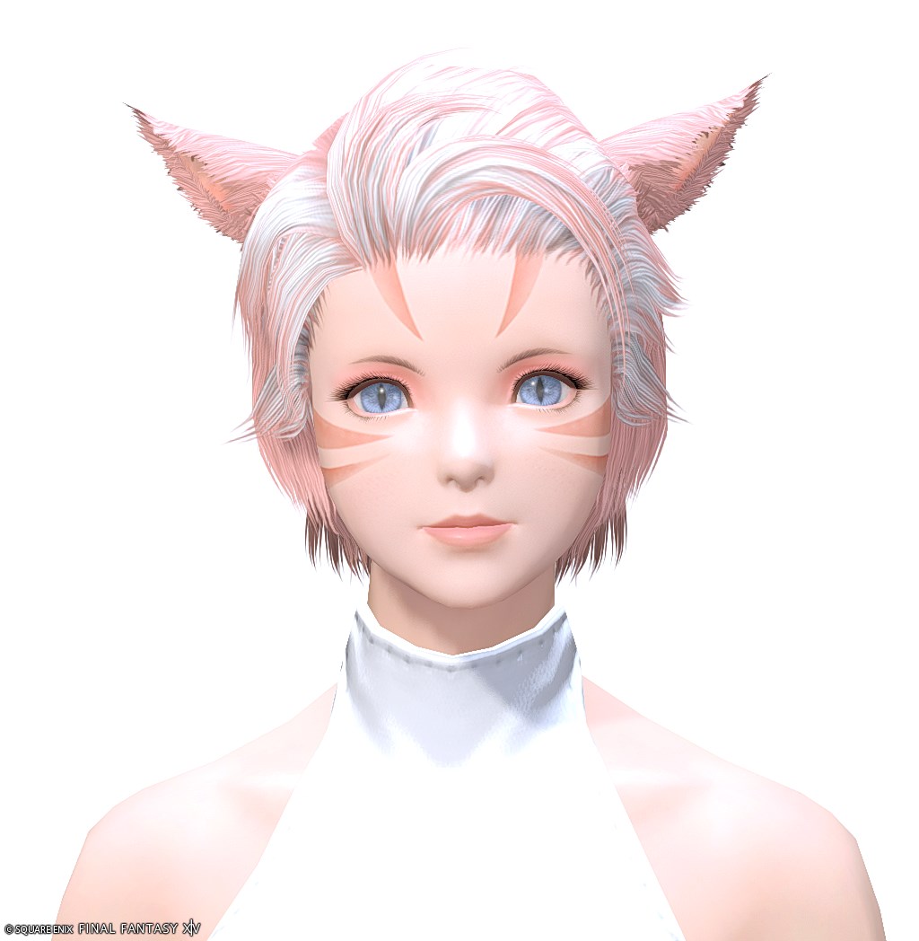 ヘアカタログ:ガイウス