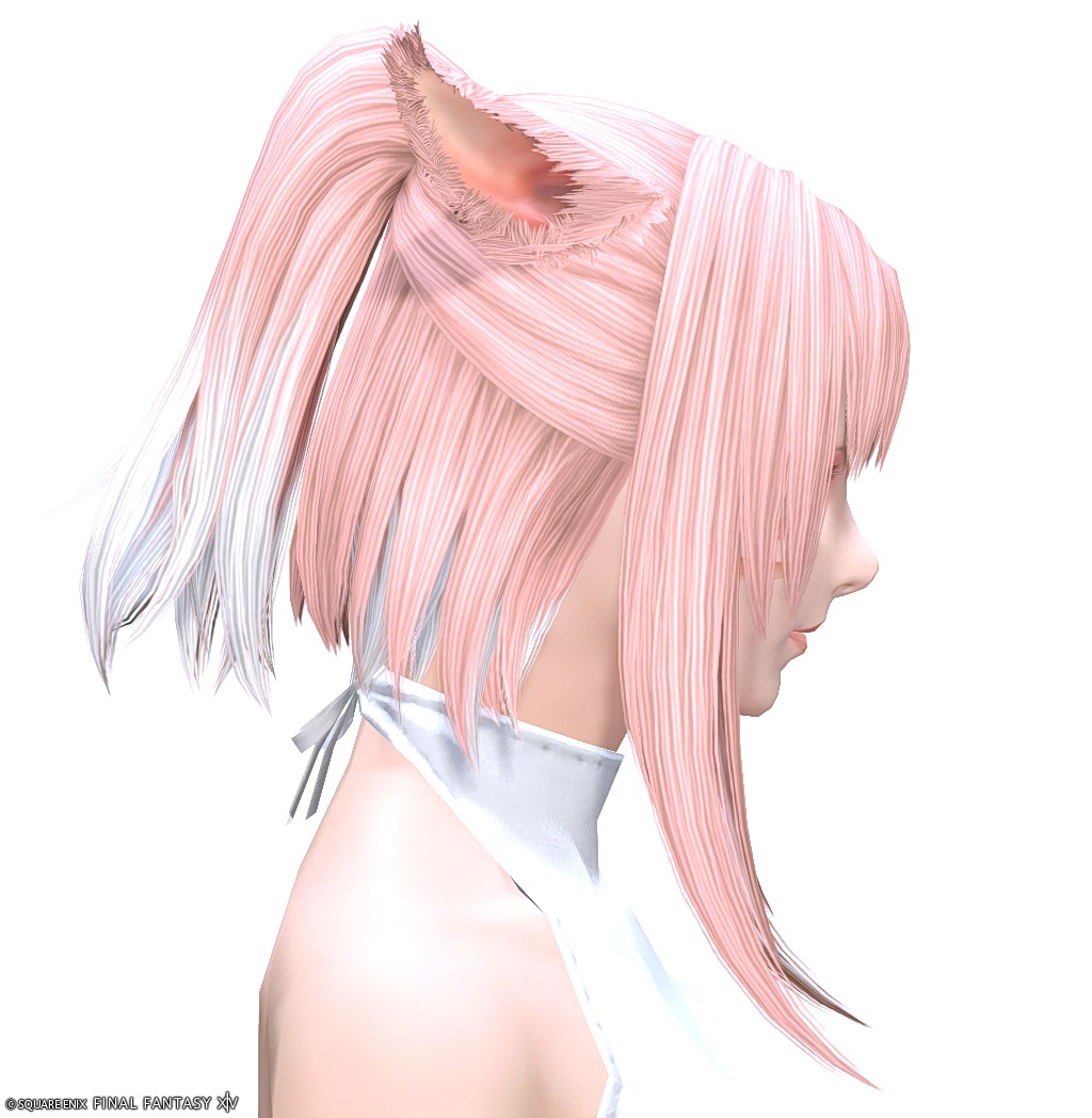 ヘアカタログ:エンフォーチュンテラー