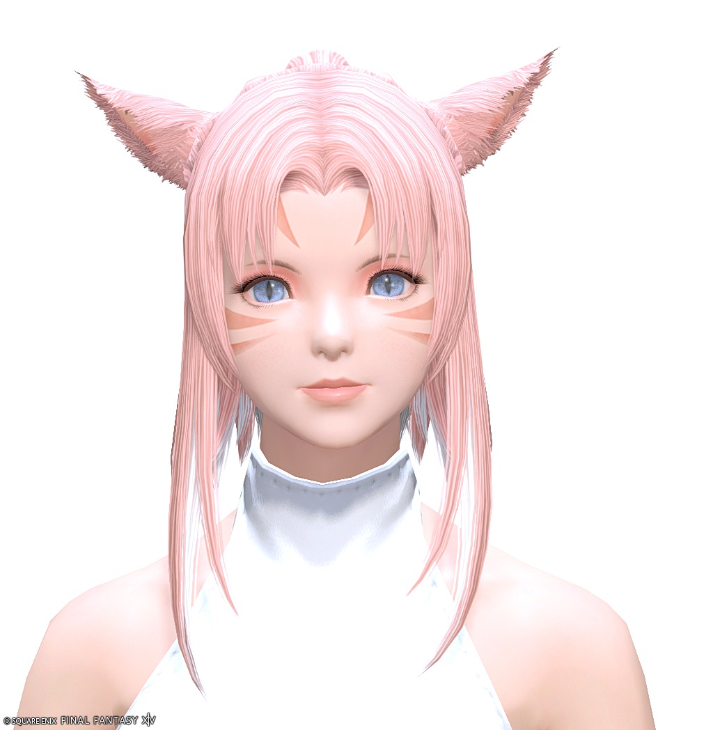 ヘアカタログ:エンフォーチュンテラー